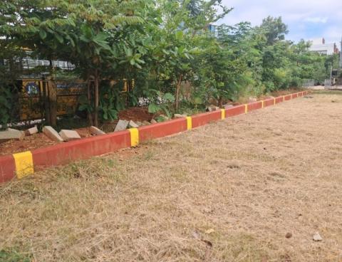 Plantation