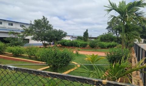 Plantation